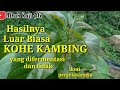 INI PERBEDAAN KOHE KAMBING YANG DIFERMENTASI DAN TIDAK PADA TANAMAN ALPUKAT