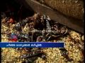 huge amount of food items found buried in alappuzha beach ധാന്യങ്ങൾ ഉപേക്ഷിച്ച നിലയിൽ ആലപ്പുഴ