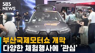 부산국제모터쇼 개막…다양한 체험행사에 전시효과 '톡톡' / SBS