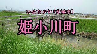 姫小川町にある小さな橋と交通公園【安城市】