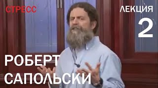 Лекция №2. Роберт Сапольски — Кровь и плоть системы стресс-ответа