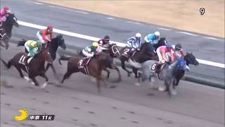 【競馬】 20180121 第35回 東海テレビ杯東海ステークス（GⅡ）『テイエムジンソク』