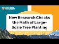 New research checks the math of large-scale tree planting | Carbon Removal Newsroom S3E18