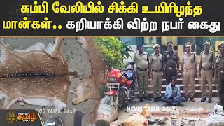 கம்பி வேலியில் சிக்கி உயிரிழந்த மான்கள்.. கறியாக்கி விற்ற நபர் கைது.!! | Deer | Skin | Arrest