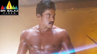 Mr.Pellikoduku Movie Sunil Powerful Fight Scene | Sri Balaji Video