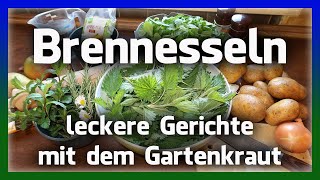 Lecker und gesund: Brennnesseln aus dem Garten