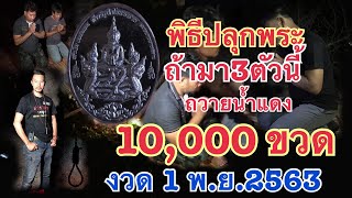 พิธีปลุกพระคืนเดือนมืด ถ้า 3 บนตัวนี้มา ถวายน้ำแดง 10,000 ขวด งวด 1 พฤศจิกายน 2563