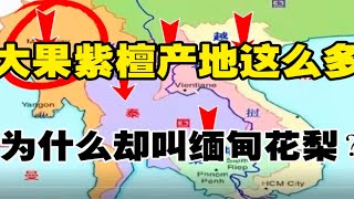 大果紫檀的产地这么多，为什么会叫缅甸花梨？浅谈大果紫檀叫缅甸花梨的原因