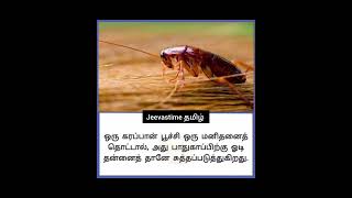 ஒரு கரப்பான் பூச்சி ஒரு மனிதனைத் தொட்டால் #jeevastimeதமிழ் #tamil #tamifacts #trendingshorts #facts