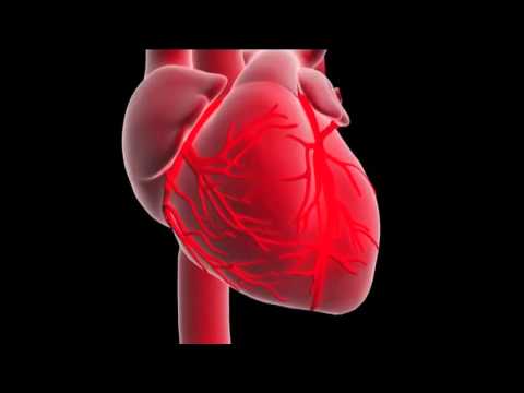 Why does ESR increase in myocardial infarction?