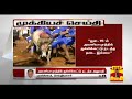 breaking அவனியாபுரத்தில் ஜல்லிக்கட்டு நடத்த அனுமதி avaniyapuram jallikattu thanthi tv