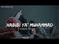 HABIBI YA` MUHAMMAD ﷺ || New Islamic Video || Islamic LoFi.7.3.7