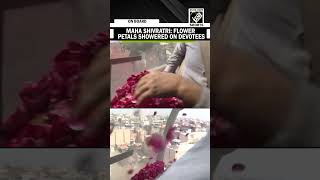 Flower petals showered on devotees at Kashi Vishwanath Temple during Maha Shivratri