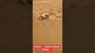 Flood in sudia ariba. #UAEfloodOman Dubai very high Flood