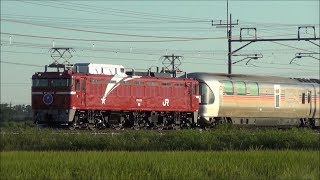 【晩夏の気笛】団臨 寝台列車カシオペア紀行　東鷲宮～栗橋　2019.9.6