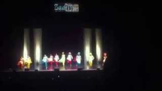 MSU Satrang Bhangra 2014