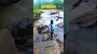 Lulung - Similipal #shorts #shortvideo #viral