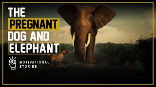 The Pregnant Dog and Elephant l Amazing Motivational Story