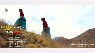 New Tibetan Song 2020 མཐིན་སྒྲིལ་ལ་འབོད་པ། Calls for Unity མཐོ་སྒང་བུ་མོ་སྤུན་གཉིས། Two Sister