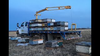 First 3 loads out of hives out, the season has started - April 15 2018