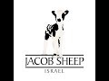 The Jacob Sheep Return From Exile on Israel Breaking News