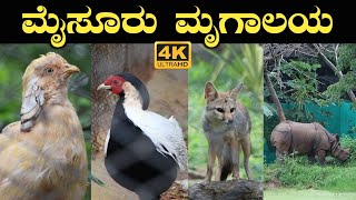 Mysore Zoo | 4K | Full View | Karnataka | India