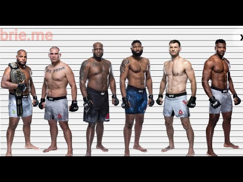 UFC (MMA) Fighters' Real Height - YouTube