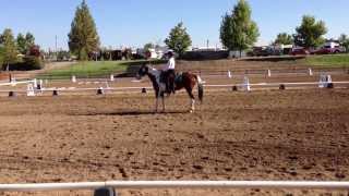 Nancy and Callie Cowboy Dressage test w j l 1