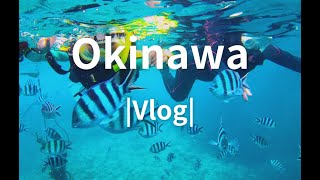 【沖縄vlog】vol.1｜息子と2人旅｜4泊｜青の洞窟⛱️