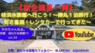 【旅企画第一弾】桂浜水族館へ行こう！～弾丸１泊旅行！安さ重視！レンタカーで高知まで行ってきた～