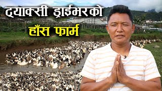 ट्याक्सी ड्राईभरको रहर लाग्दो हाँस फार्म - Duck farming/rearing in Nepal - Farm of Taxi driver