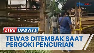 Pria di Lampung Utara Tewas Ditembak Pencuri setelah Kepergok Gendong kambing, 4 Ekor Hilang