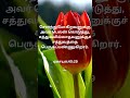 bible verses in tamil bible verses in tamil பைபிள் வசனம்