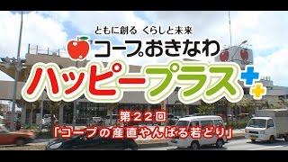 2014年9月13日放送　第22回「コープの産直やんばる若どり」