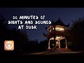 Dusk at the Bell Tower | Immersive video