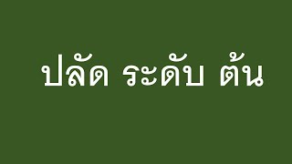 ปลัด ระดับ ต้น