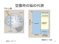 第11回　肝、筋、脳、脂肪組織での代謝の統合　part 3　（基礎生化学）