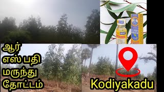 #RS_pathy_medican #garden #forest  ஆர் எஸ் பதி மருந்து தோட்டம்🍃#short |TRY AGAIN|