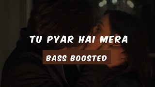 Tu Pyar Hai Mera Offical Bass Boosted Song | Badnaam | #Bass_Boosted