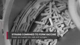 How Pennsylvania's Sanofi Pasteur makes flu vaccine