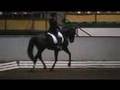 NEW TANGO & STEGEN KUR '08 RALEIGH