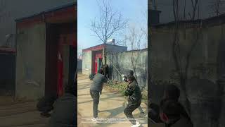 Tree - Felling : Chainsaw, Ropes, and Teamwork Bring Down the Tree at the Courtyard Gate