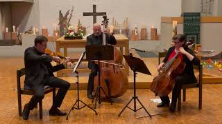 Haydn, J.:  Divertimento (Baryton-Trio) in D-Dur