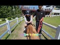 dk horse 재인이의 승마 체험기 평보 한정홍 코치 u0026 서울승마클럽 포니 체험승마 horse riding 힐링 산책 주말나들이