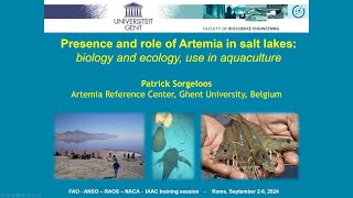 Presence and role of Artemia in salt lakes: biology and ecology | Safeguarding Artemia resources