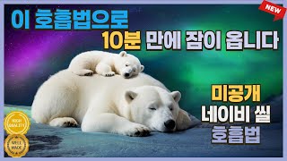 쉽게 잠들게 도와주는 수면 명상 가이드 | 10분만에 잠오는 영상 | 네이비씰 호흡법 | 짧은 명상+뇌파 동기화 | 잠오는 목소리 | Korean Guided meditation