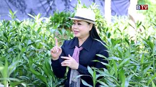 AGRICULTURE: Lucky Bamboo Eps. 02