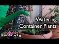 How to Water Plants - Different Pot Sizes and Containers