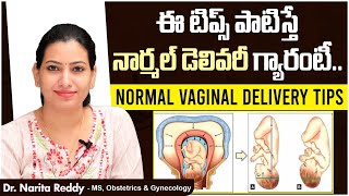 నార్మల్ డెలివరీ టిప్స్  | Normal Vaginal Delivery Tips | Natural Birth Tips | Sri Chandra Hospital