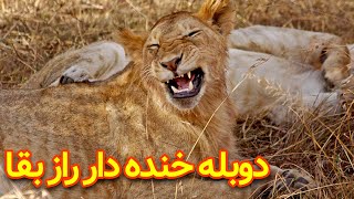 دوبله خنده دار 😂 سری جدید راز بقا 😂